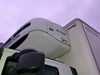 IVECO STRALIS FRIGOWAGEN